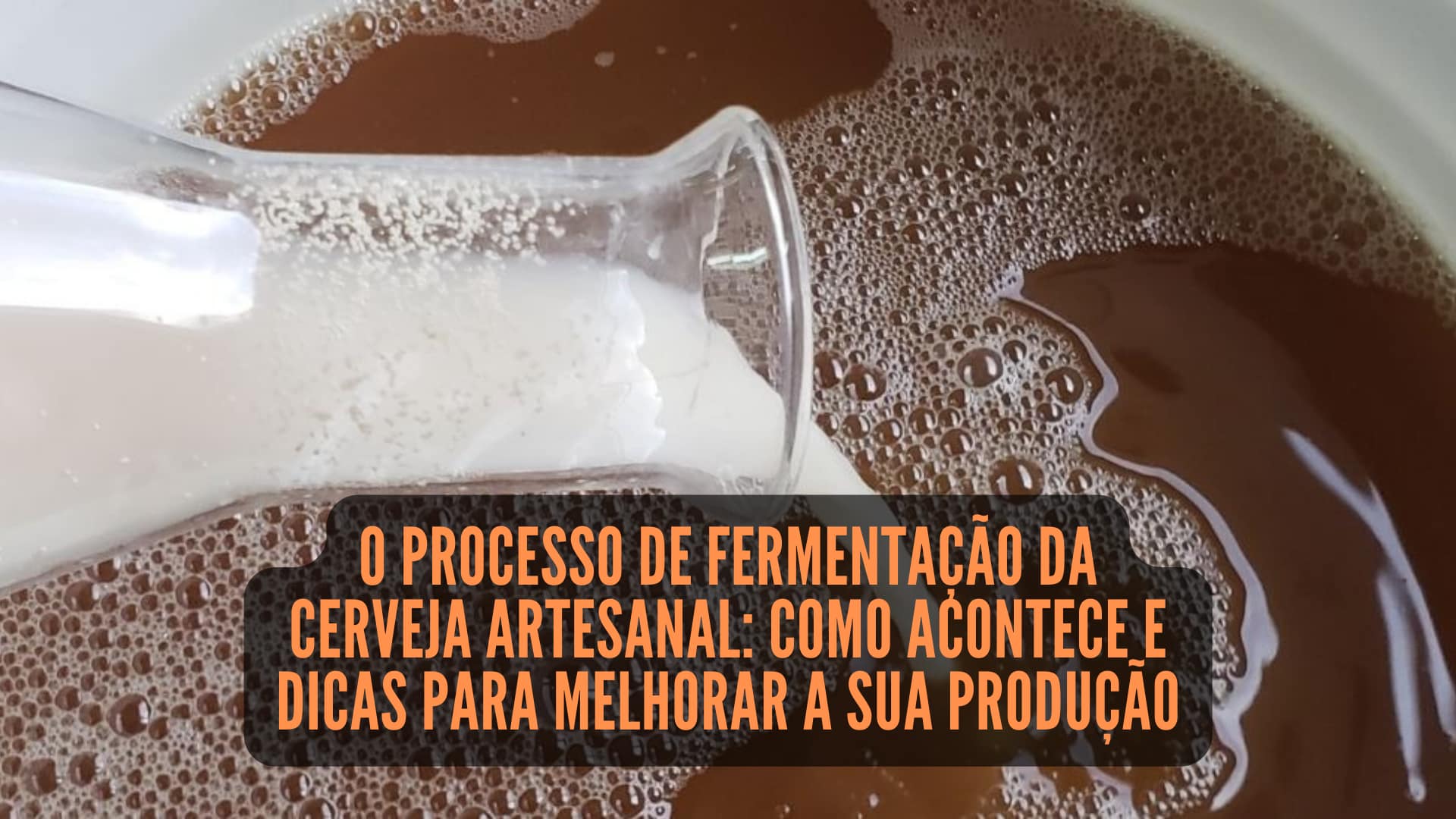 Cerveja Artesanal: O Processo de Fermentação. Como Acontece!