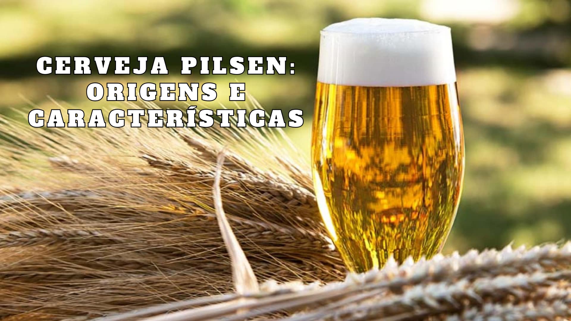 Cerveja Pilsen: Origens e Características