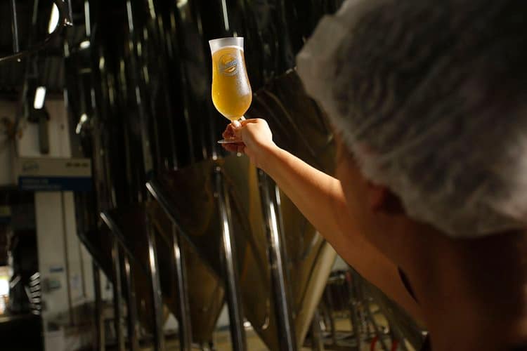 Cerveja Blumenau premiada no Barcelona Beer Challenge